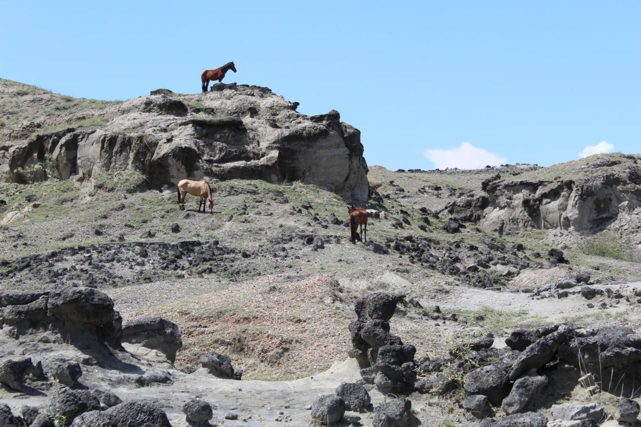 Pachingo Tatacoa Desert La Victoria  Экстерьер фото