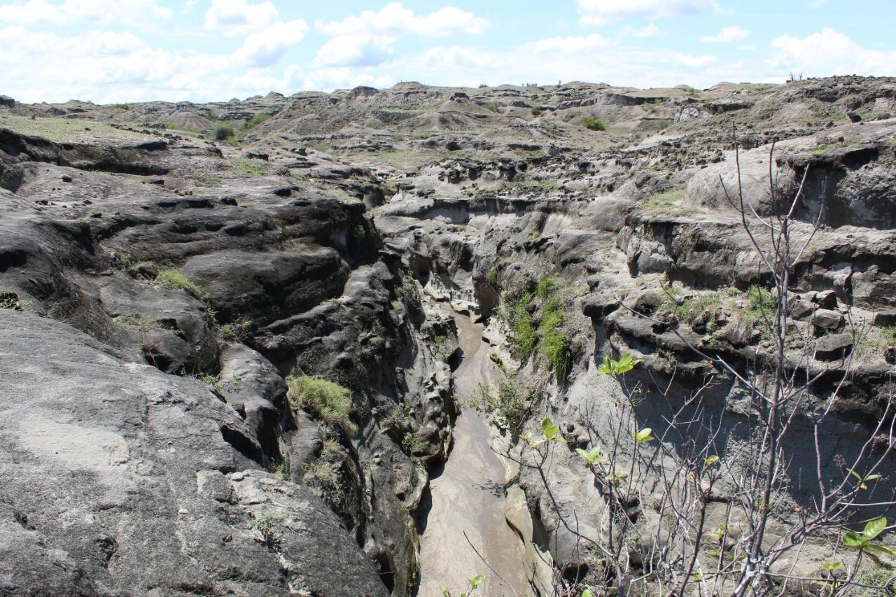 Pachingo Tatacoa Desert La Victoria  Экстерьер фото