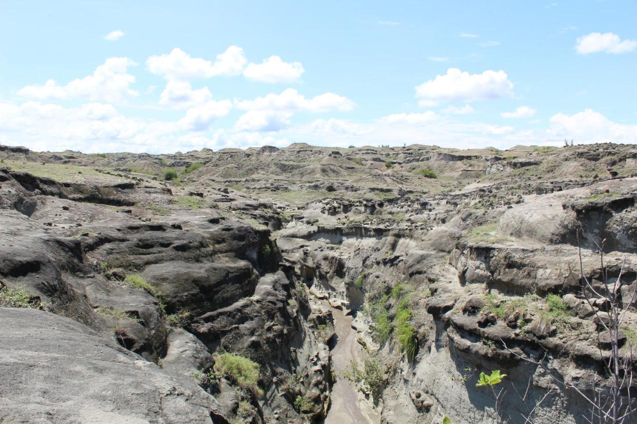 Pachingo Tatacoa Desert La Victoria  Экстерьер фото